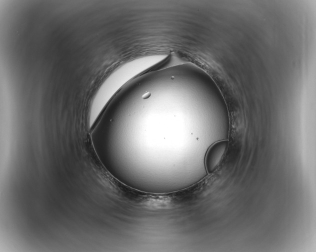 X0000086880369200704300941