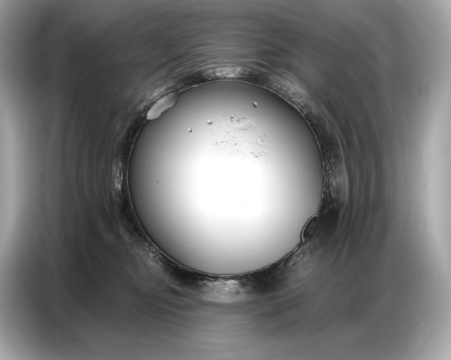 X0000086880374200704300941