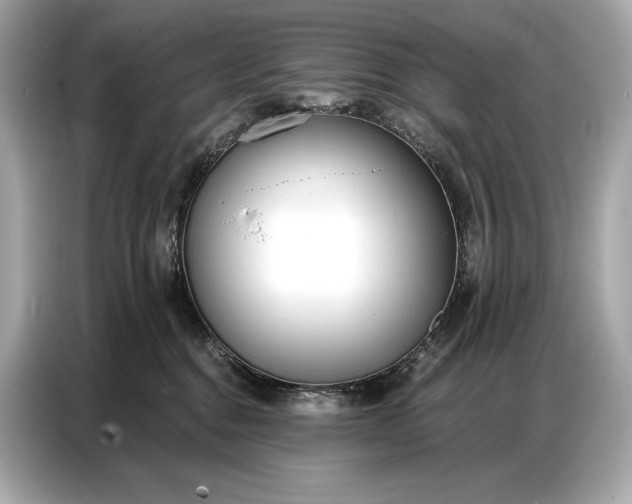 X0000086880376200704300942