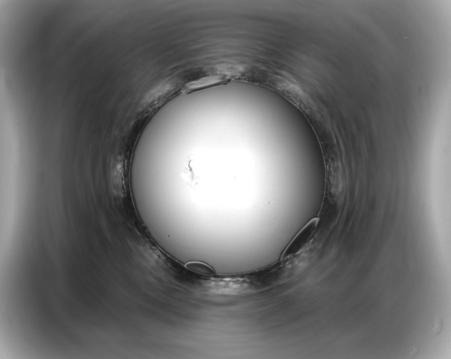 X0000086880378200704300942