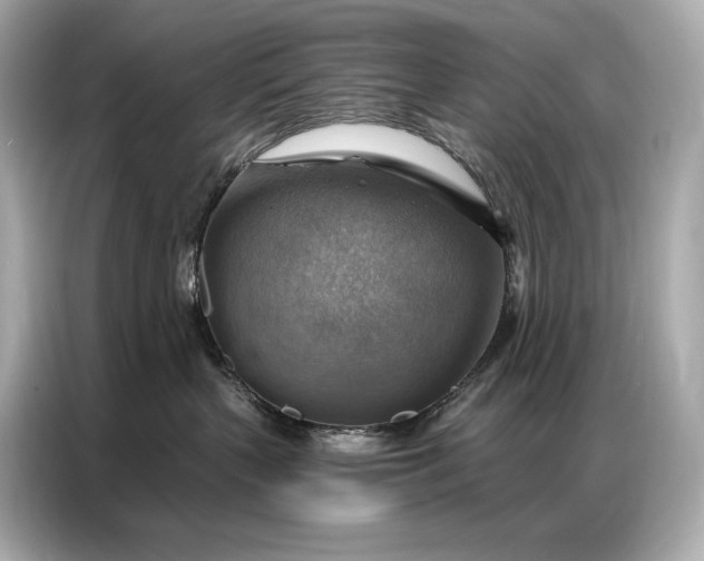 X0000086880383200704300942