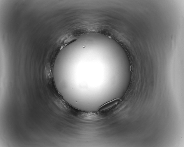 X0000086880384200704300942