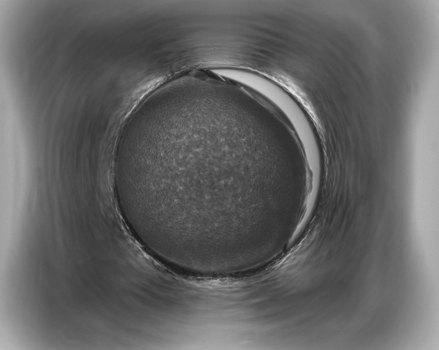 X0000086880385200704300941