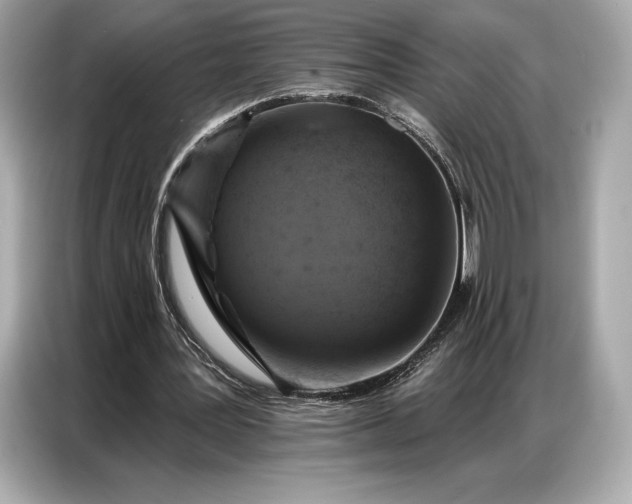 X0000086880387200704300941