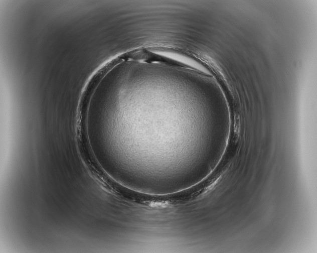 X0000086880388200704300941