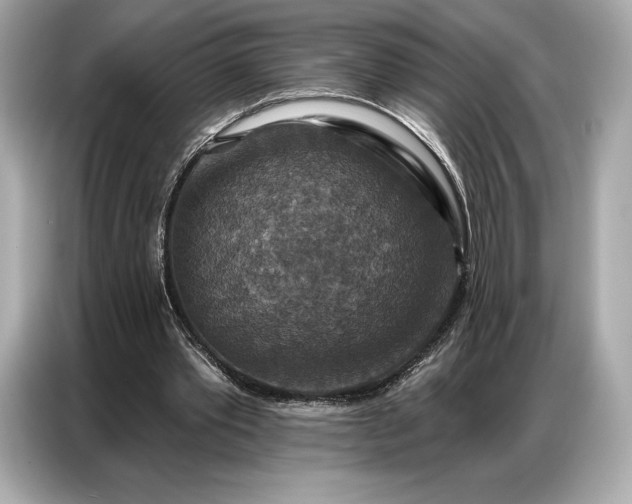 X0000086880389200704300941