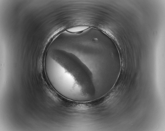 X0000086880390200704300941