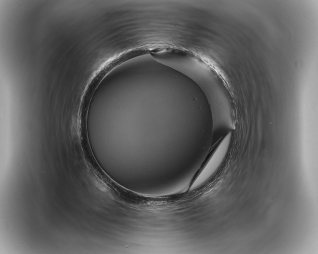 X0000086880391200704300941