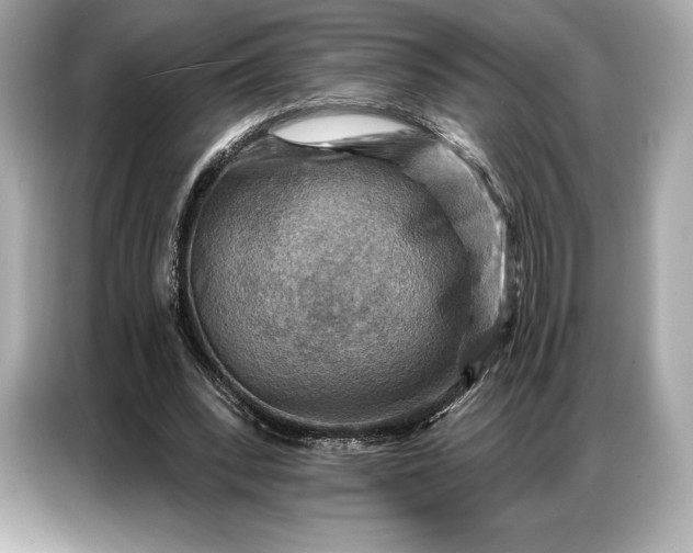 X0000086880392200704300941