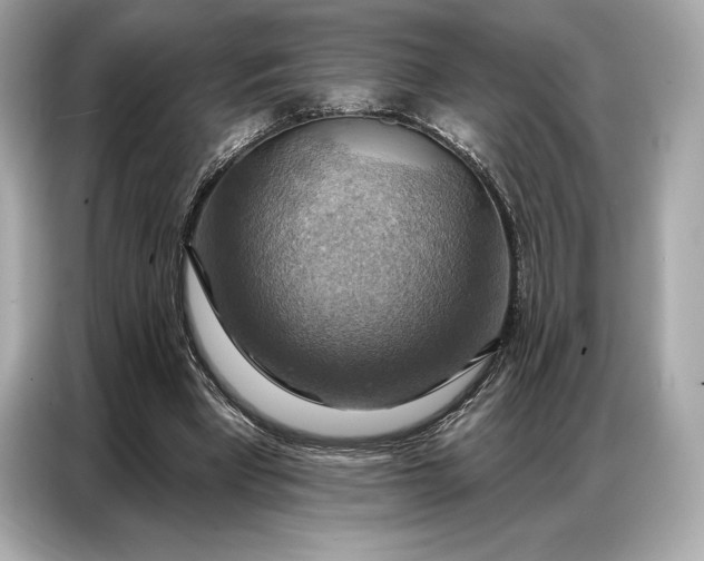 X0000086880393200704300941