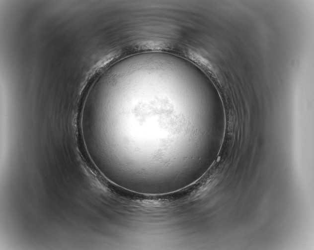 X0000086880394200704300941