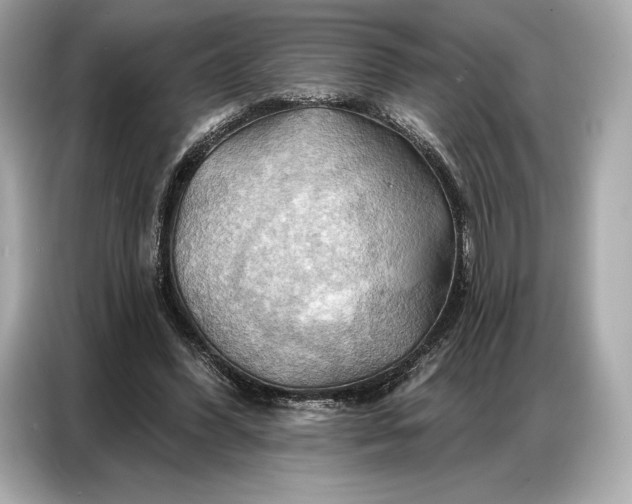 X0000086880396200704300941