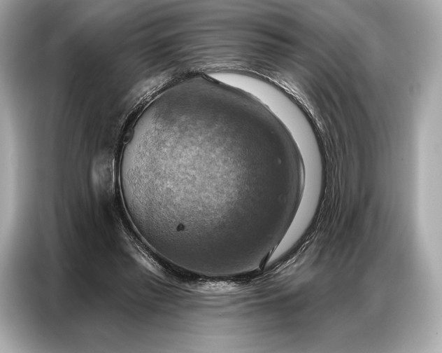 X0000086880397200704300941