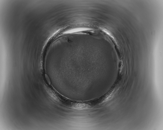 X0000086880399200704300941