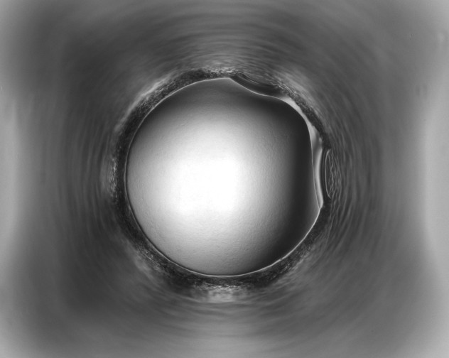 X0000086880400200704300941