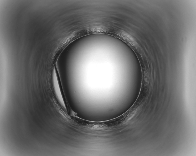 X0000086880401200704300941