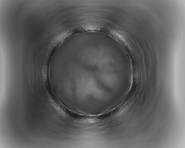 X0000086880402200704300941