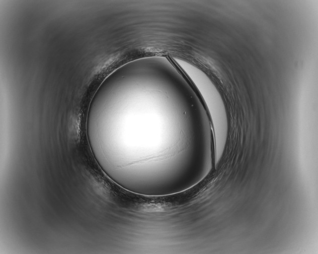 X0000086880404200704300941