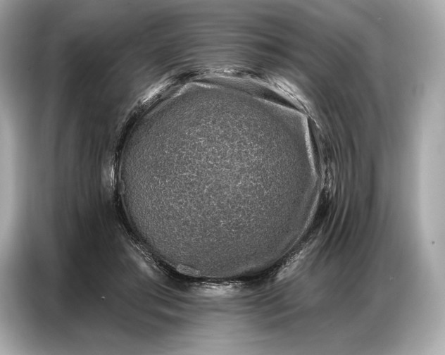 X0000086880405200704300941