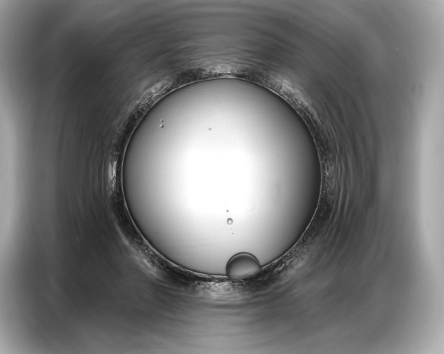 X0000086880406200704300941