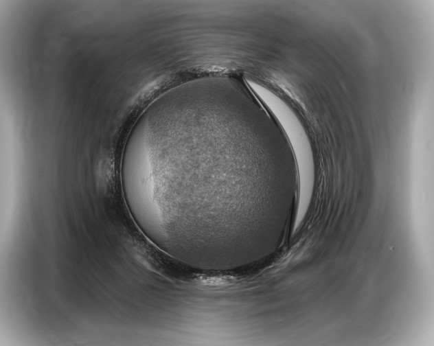 X0000086880407200704300941