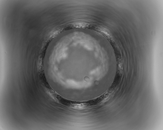 X0000086880411200704300941