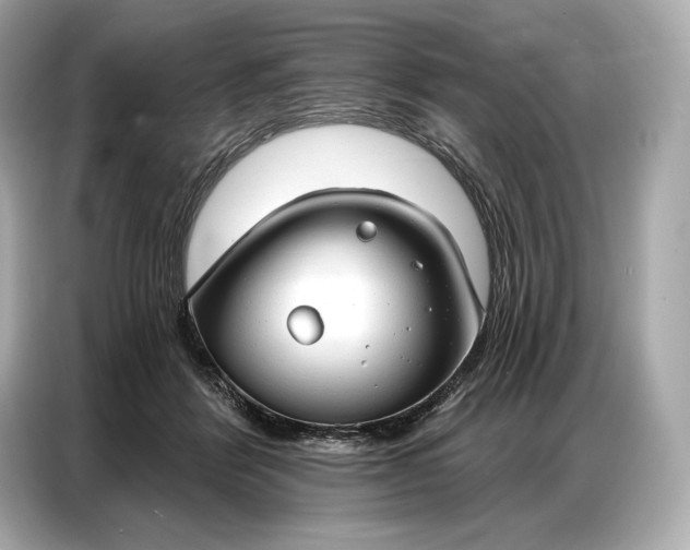 X0000086880412200704300941