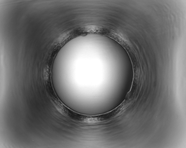 X0000086880413200704300941