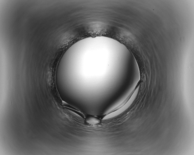 X0000086880416200704300941