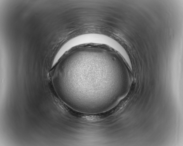 X0000086880417200704300941