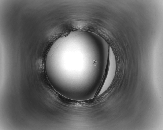 X0000086880420200704300941