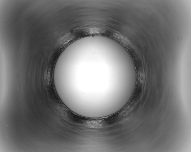 X0000086880422200704300941