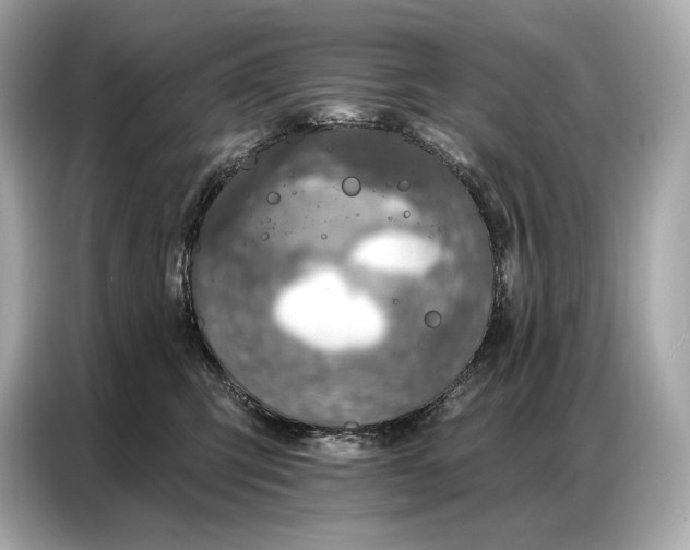 X0000086880423200704300941