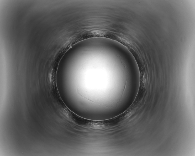 X0000086880424200704300940