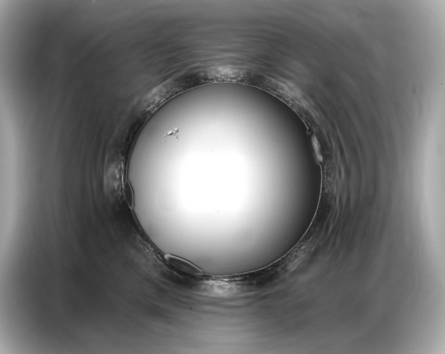 X0000086880425200704300940