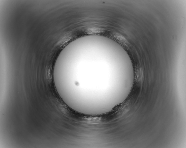 X0000086880426200704300940