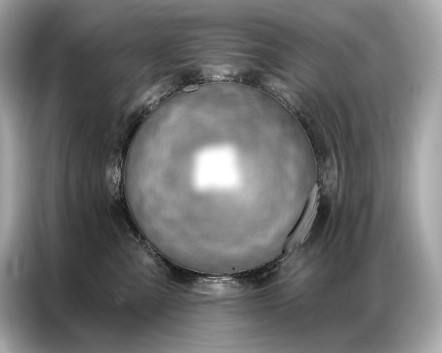 X0000086880427200704300940