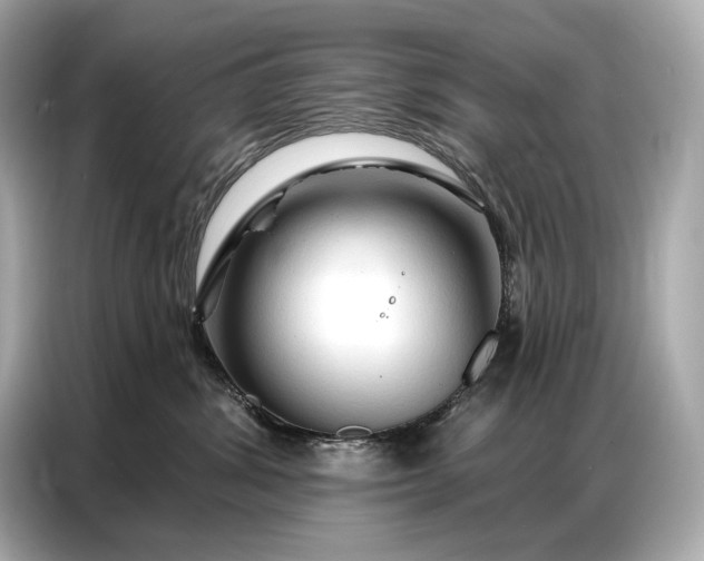 X0000086880428200704300940