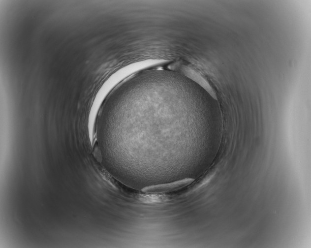 X0000086880432200704300940