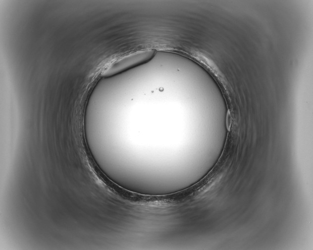 X0000086880433200704300940