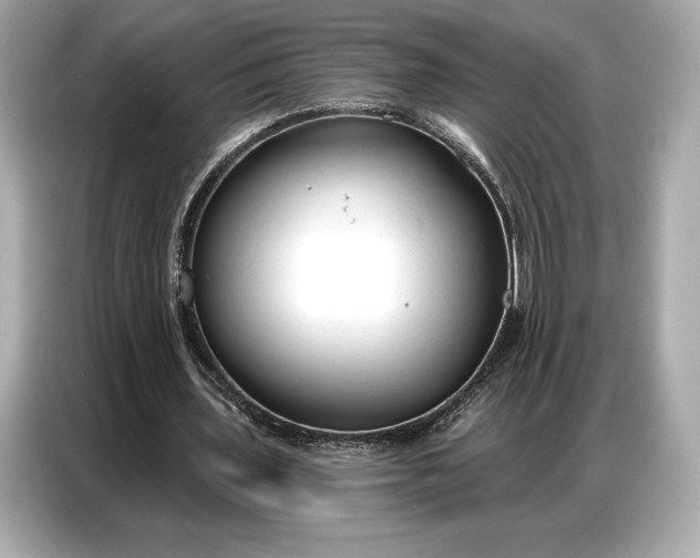 X0000086880435200704300940