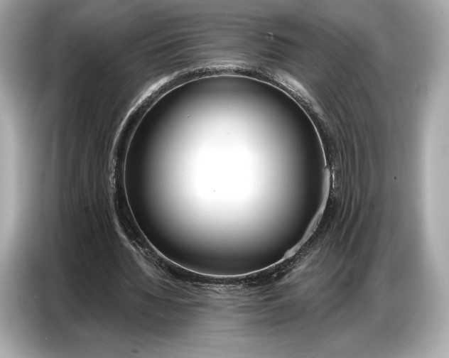 X0000086880436200704300940