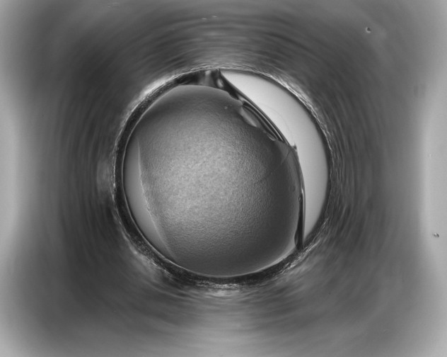 X0000086880438200704300940