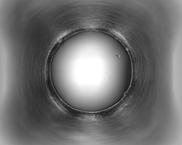 X0000086880439200704300940