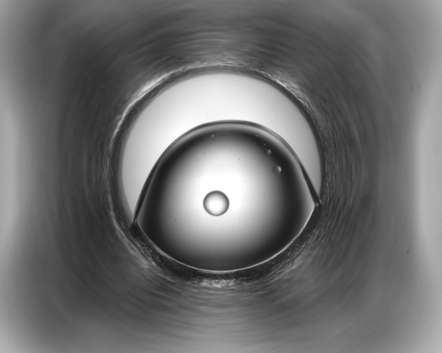 X0000086880440200704300940