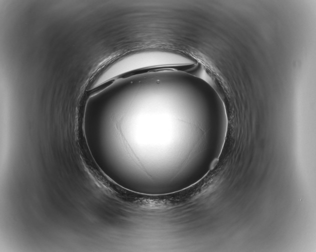 X0000086880442200704300940