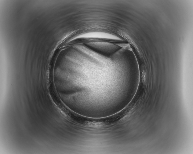 X0000086880444200704300940