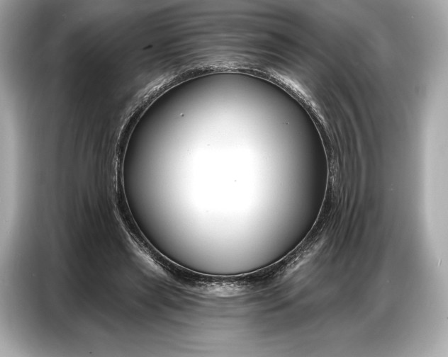 X0000086880445200704300940