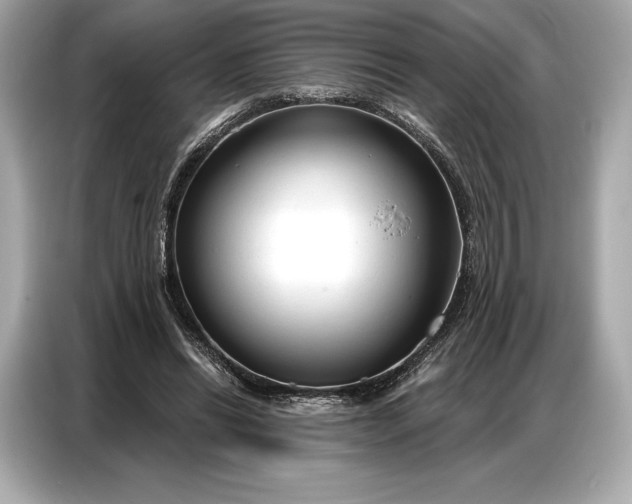 X0000086880446200704300940