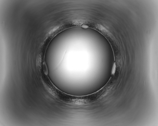 X0000086880448200704300940